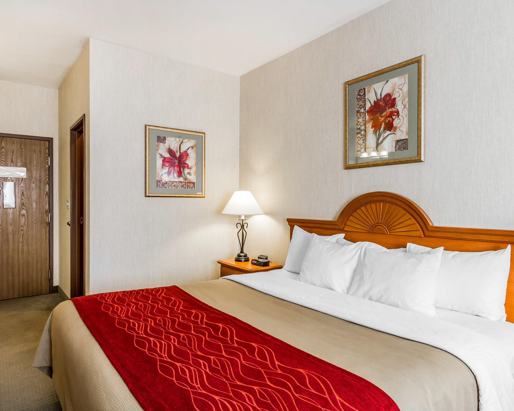 Comfort Inn Ellsworth - Bar Harbor Bagian luar foto