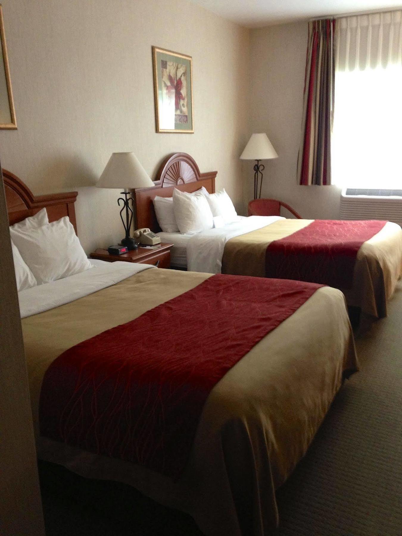 Comfort Inn Ellsworth - Bar Harbor Bagian luar foto